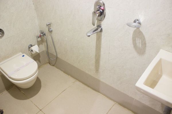 HOTEL FLORA INN (Nāgpur)
